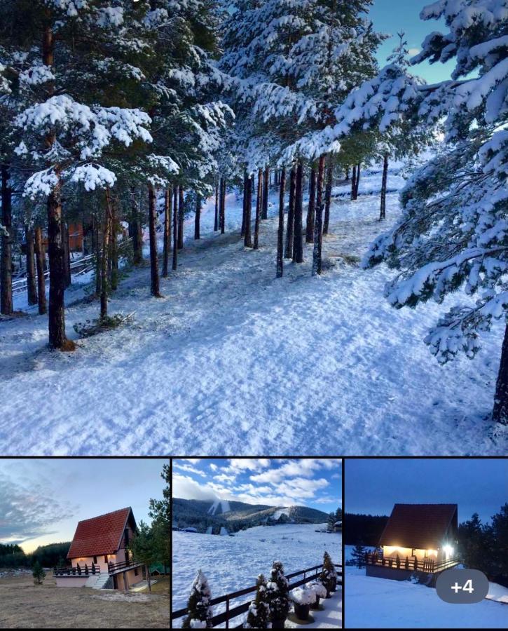 Ng Apartmani Tornik Zlatibor Buitenkant foto